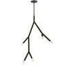Dainolite Morgan 5 Light Pendant Matte Black Finish Lamp