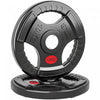 Soozier 2 x 22lbs Weight Plates Set, 2-Inch Barbell Weights Set