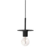 Dainolite Roswell 1 Light Pendant Medium Matte Black Lamp