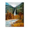 Dusk Fall Wall Art