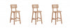 Versailles Industry Chic Cane Back Wood Counter Stool in Natural - Set of 3