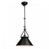 Brydon 1-Light Black Wall Sconce Pendant