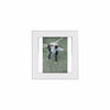 Lucent Frame 4 x 6 White Col - Set of 2 Frames