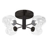 Dainolite Abii 4 Light Semi-flush Mount Matte Black Finish Clear Glass Lamp