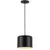 Dainolite Emilia 1 Light Pendant Matte Black Finish Matte Black/White Shade Lamp