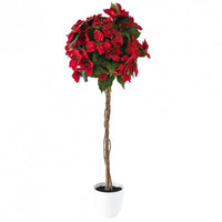 Red 47