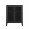 Amelia Modern 32\" Metal Accent Cabinet in Black