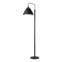 Tote Black & Brass Floor Lamp