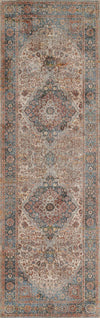 Irina Traditional 2'6\" x Runner Rug in Multi Indoor Area Rug