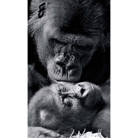 Apture Wall Art