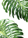 \"Double Philodendron (color)\" Giant Art 72x54 Wall Art