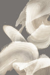 \"Evolution Of White\" Giant Art 72x48 Wall Art