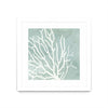 \"Sea Crown I\" Matted and Framed White 36x36 Wall Art