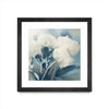 \"White Roses I\" Matted and Framed Black 36x36 Wall Art