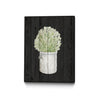 \"Herbs On Black Wood Ii\" Canvas Framed Black 24x32 Wall Art