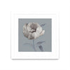 \"Floral Symposium I\" Matted and Framed White 36x36 Wall Art