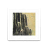 \"Desert Dreams Iv\" Matted and Framed White 30x30 Wall Art