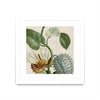 \"Cropped Turpin Tropicals Ii\" Matted and Framed White 30x30 Wall Art