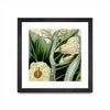 \"Cropped Turpin Tropicals Iii\" Matted and Framed Black 30x30 Wall Art