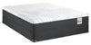 Springwall Spa 10 Firm Smooth Top Twin Mattress in a Box Set