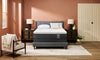 Springwall Encore Atmosphere Pillowtop Medium Twin Mattress