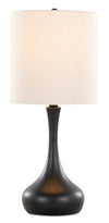 Polly 24\" Matte Black Metal 2-Piece Set, with Two Table Lamps
