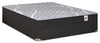 Springwall White Birch Tight Top Firm Twin Mattress-in-a-Box Set