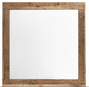 Mojave Mirror
