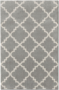 Taza Area Rug – 7' x 10'