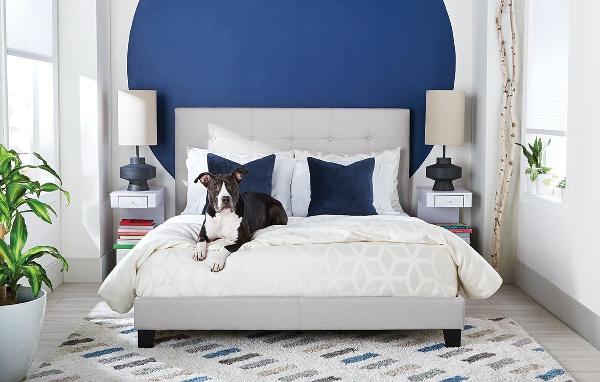 Multifunctional Guest Room Ideas