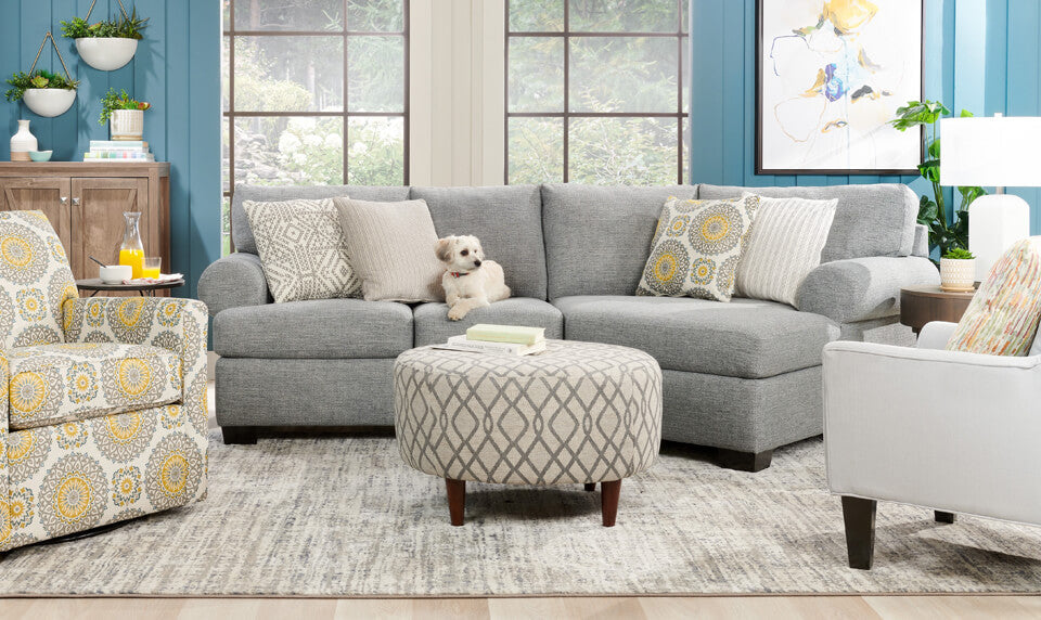 Keeping Your Home Clean and Tidy While Having a Pet