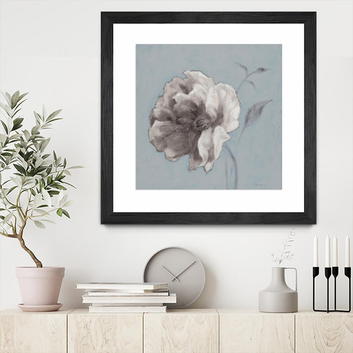 \"Floral Symposium Ii\" Matted and Framed Black 36x36 Wall Art