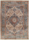 Irina Traditional 8'0\" x Area Rug in Multi Indoor Area Rug 