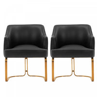 Raya Modern Wood Vegan Leather Dining Chair in Black - Set of 2 