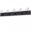 Dainolite Veronica 5 Light Vanity Light Matte Black Clear Glass Lamp