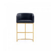 Louvre Mid-Century Modern Metal Upholstered Counter Stool in Black Bar Stool 