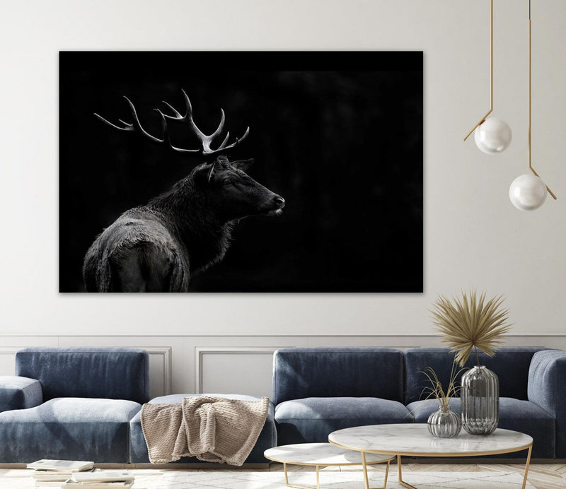 \"The Deer Soul\" Giant Art 84x54 Wall Art