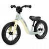 Costway 12 Inch Magnesium Toddler Balance Bike No Pedal Training Toddler Balance Bike Green