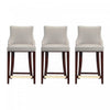 Shubert Modern Wood Upholstered Counter Stool in Light Gray - Set of 3 