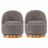 Leela Modern Chenille Swivel Lounge Chair in Gray - Set of 2 Accent Chair 