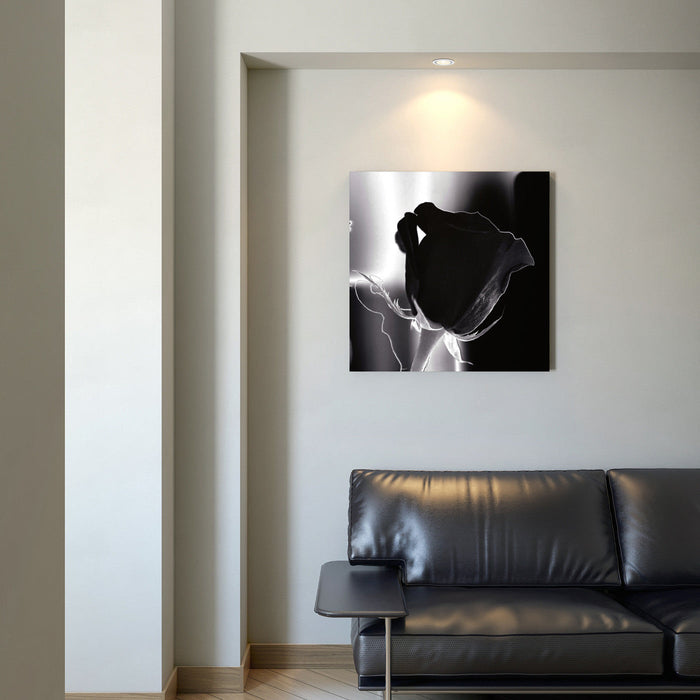 Daone Wall Art