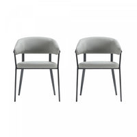 Belle Modern Metal Upholstered Dining Chair in Stone Gray - Set of 2 