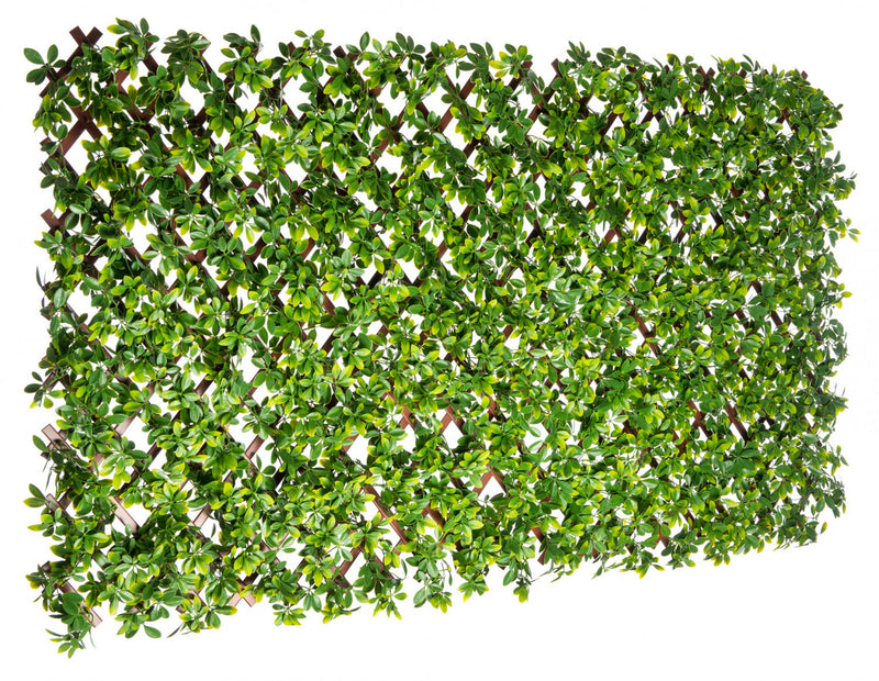 PVC Expandable Trellis 36\"x 72\" Schefflera Leaves 