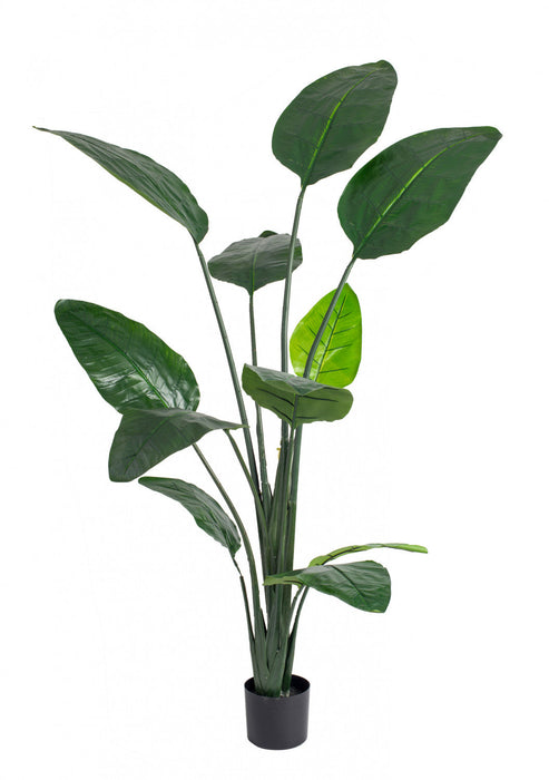 Artificial 70\" Bird Of Paradise Indoor & Outdoor In Black Pot 