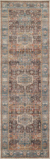Dulce Traditional 2'6\" x Runner Rug in Multi Indoor Area Rug 