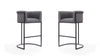 Cosmopolitan Mid-Century Modern Metal Upholstered Barstool in Gray - Set of 2 Bar Stool 