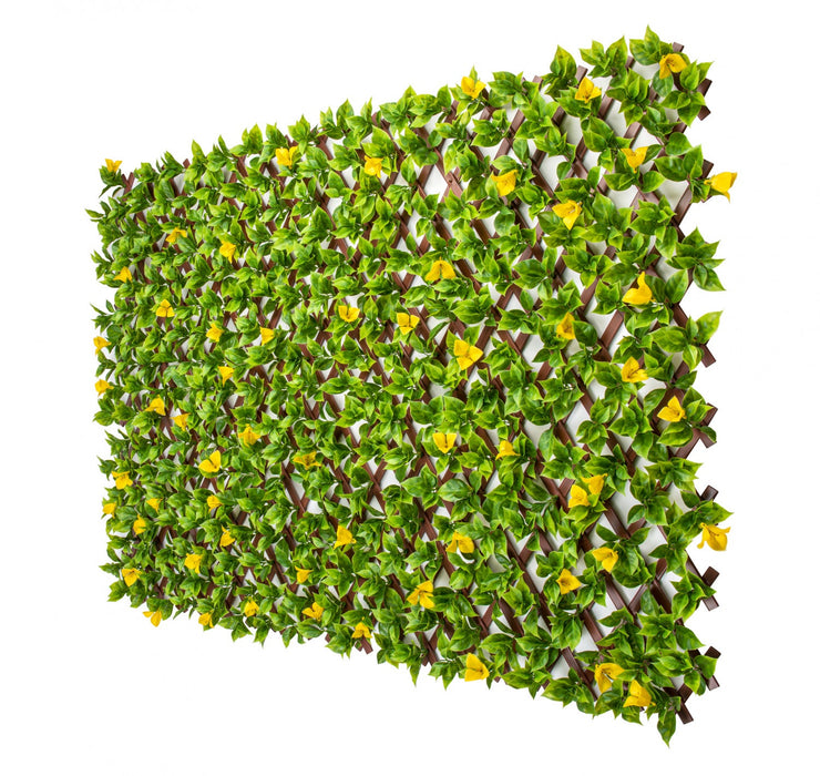 PVC  Expandable Trellis 36\"x 72\" Yellow Clematis Leaves 