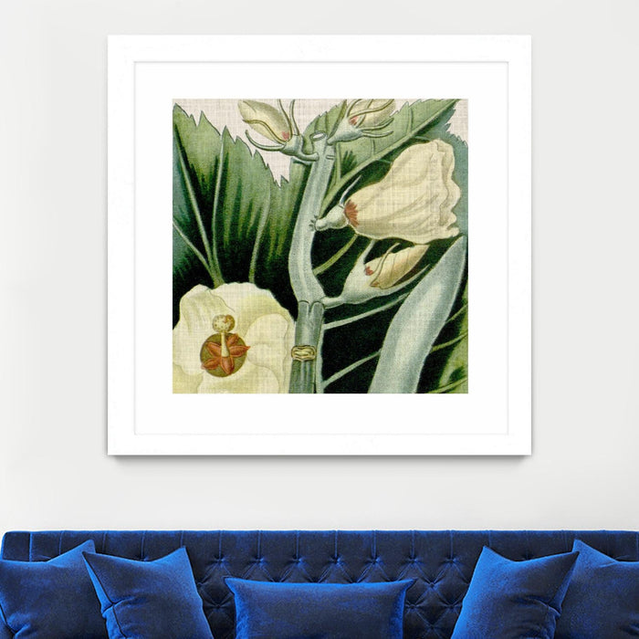 \"Cropped Turpin Tropicals Iii\" Matted and Framed White 30x30 Wall Art