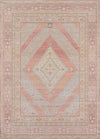 Poppy Traditional 4'0\" x 6'0\" Area Rug in Pink Indoor Area Rug 