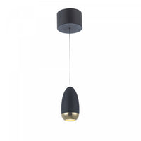 Royal Pearl Gold Integrated LED Pendant